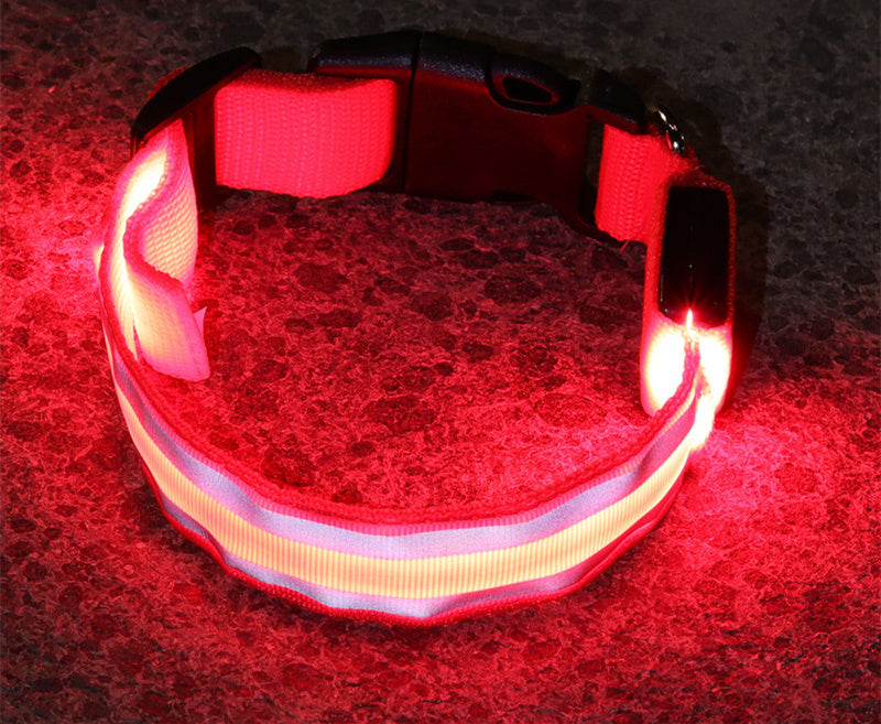 LED Anti-Lost Collar