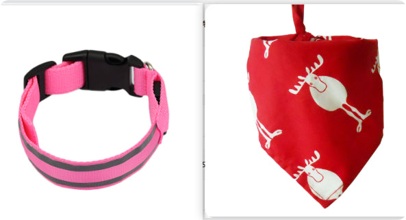 LED Anti-Lost Collar