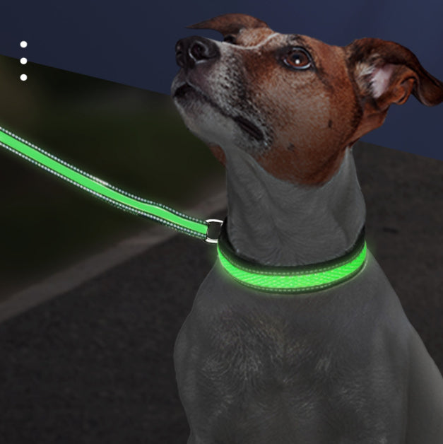LED Waterproof Collar