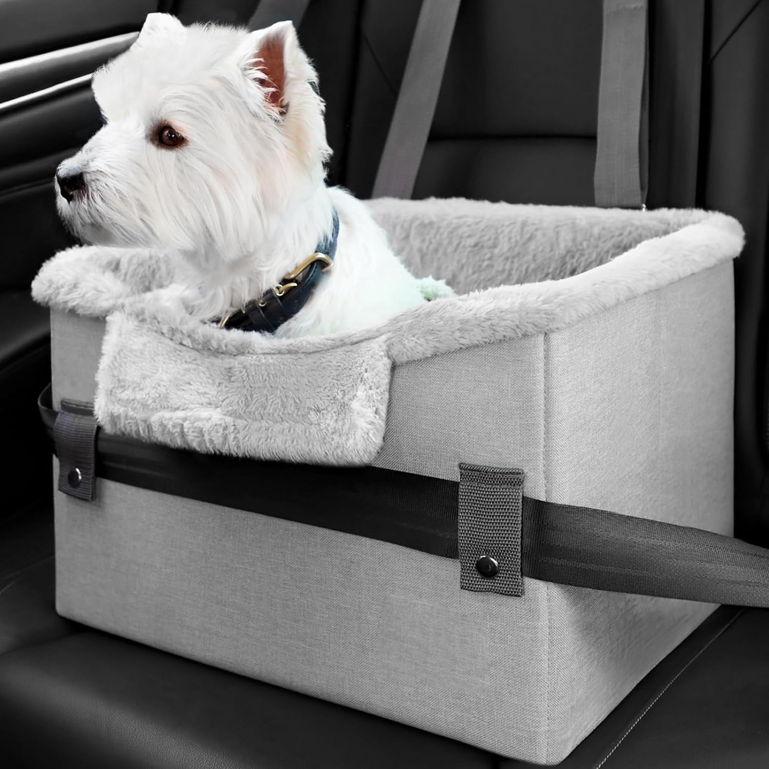 Portable Car Seat with Leash