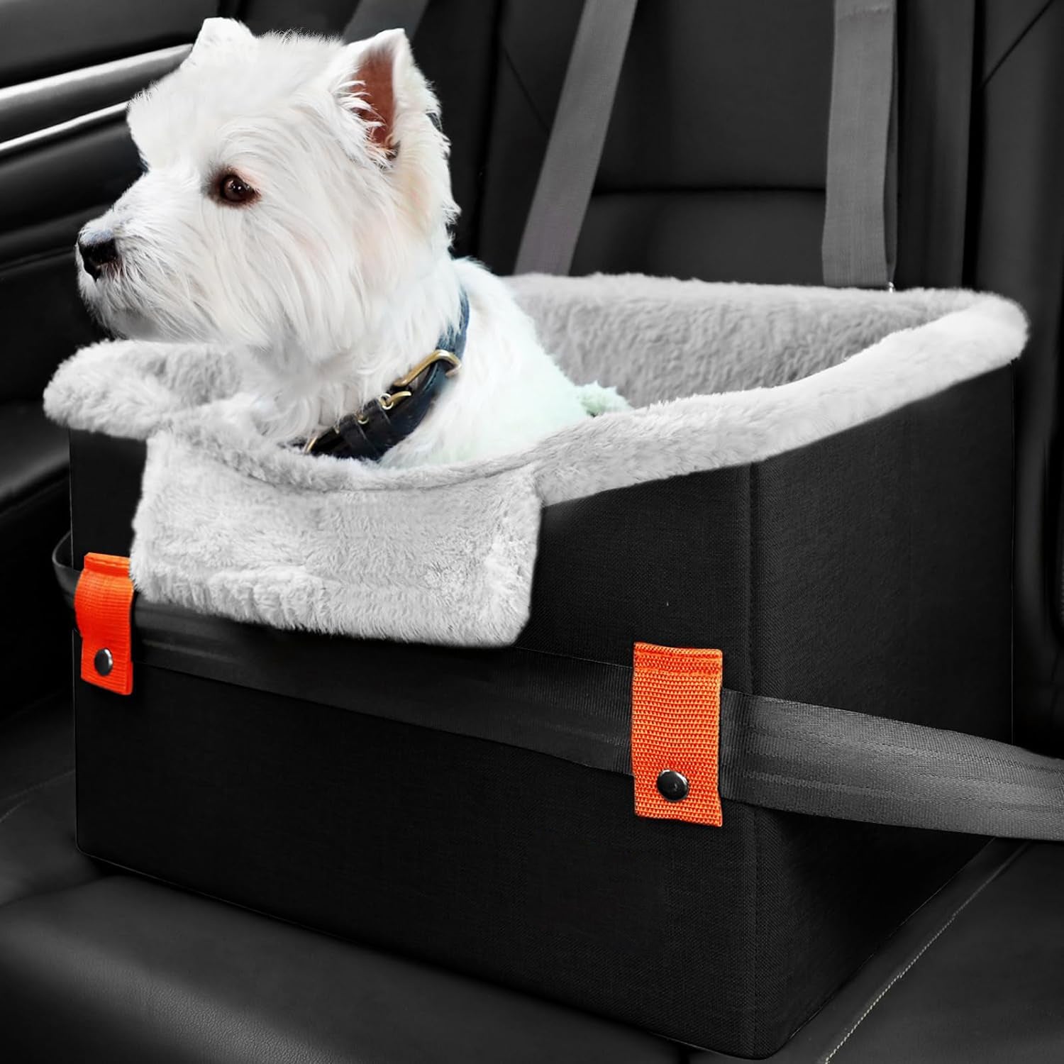 Portable Car Seat with Leash