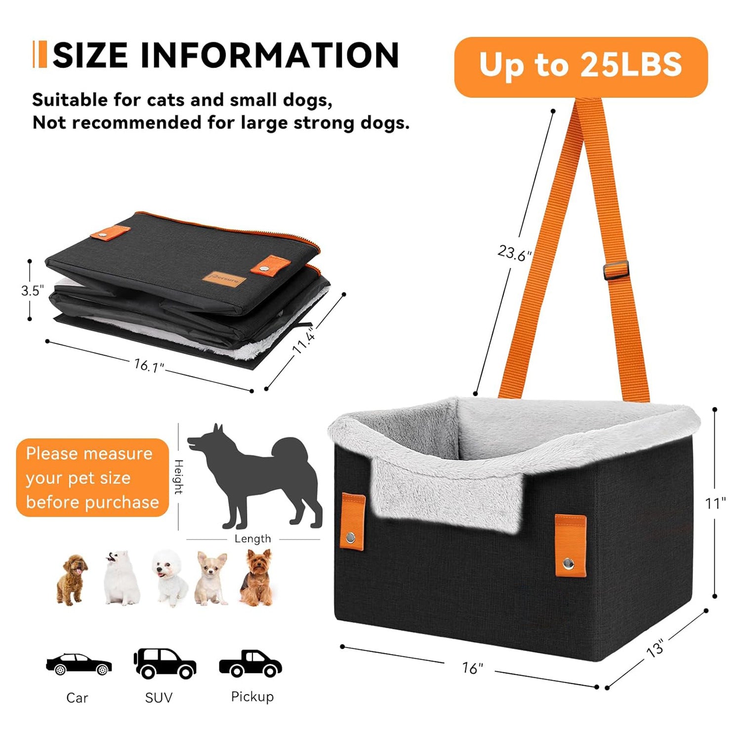 Portable Car Seat with Leash