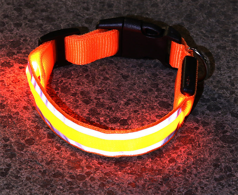 LED Anti-Lost Collar