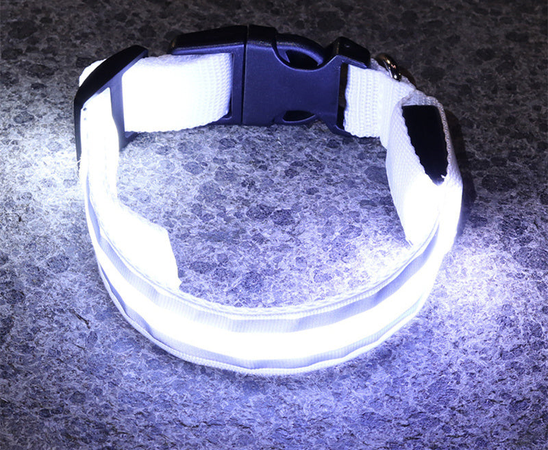 LED Anti-Lost Collar