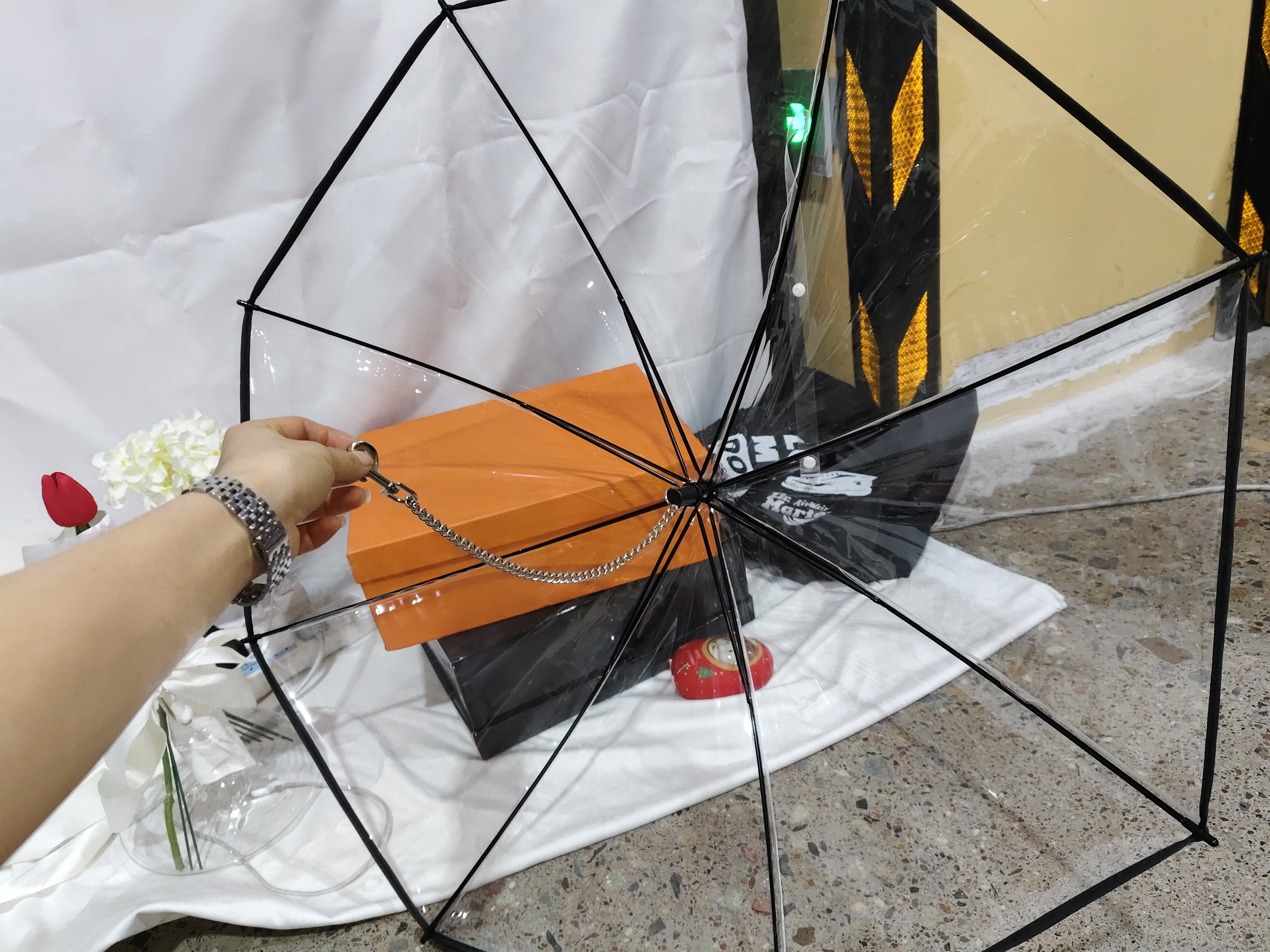 Transparent Pet Umbrella