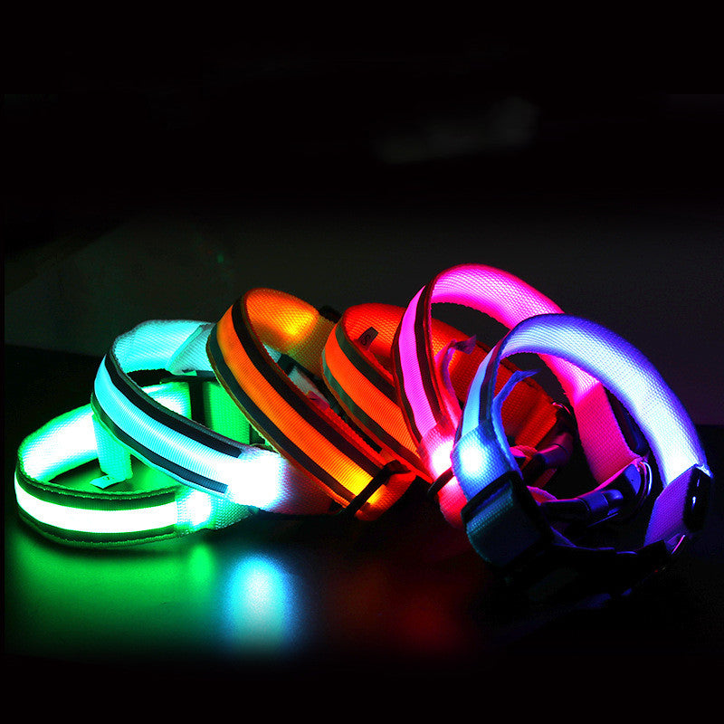 LED Anti-Lost Collar