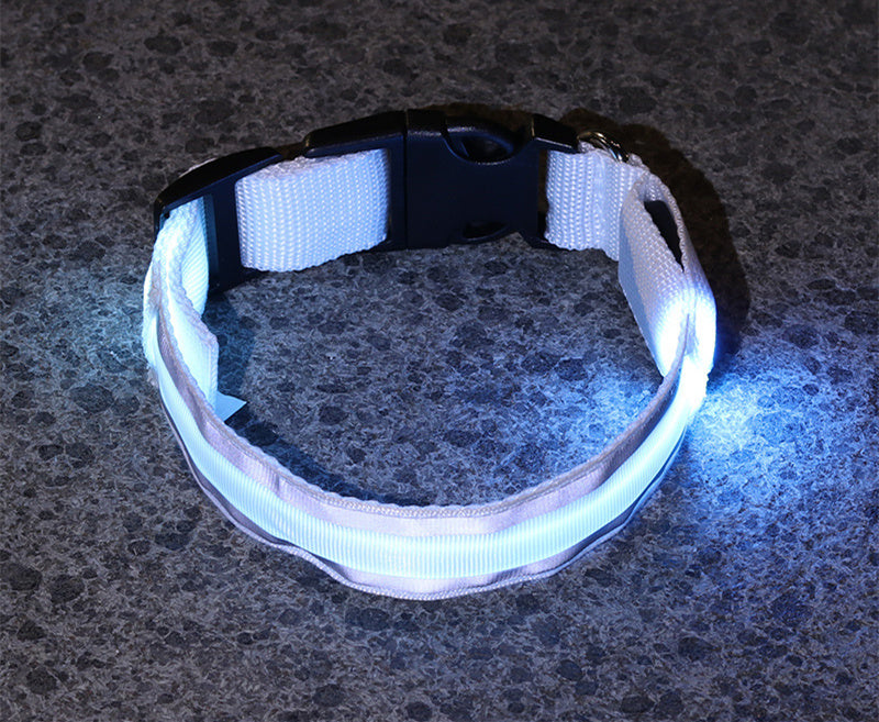 LED Anti-Lost Collar